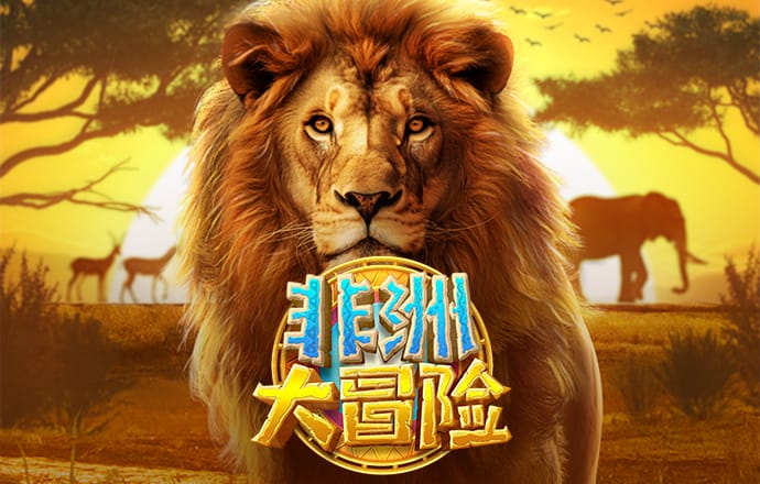 九球体育app下载官网